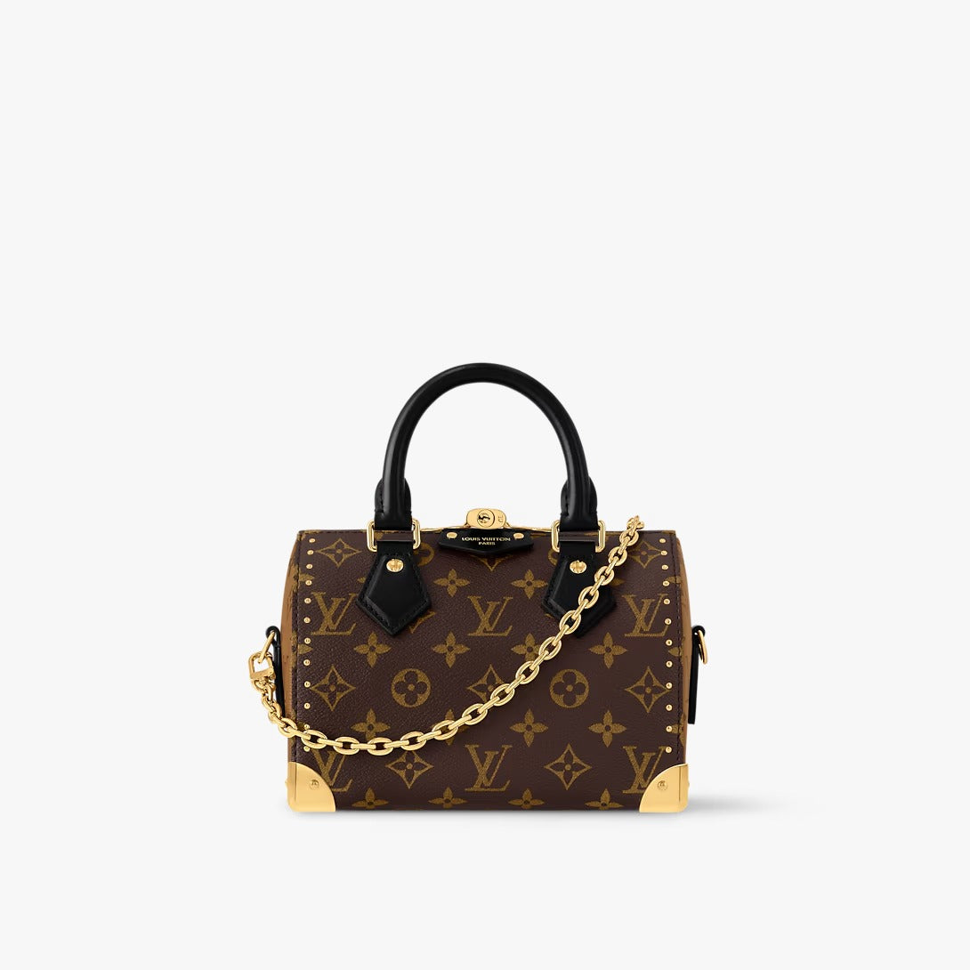 Louis Vuitton Speedy Trunk 20